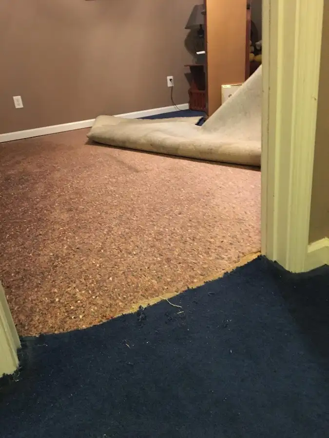 Carpet pad removal revealing water damage during Water Mitigation Services in Ira