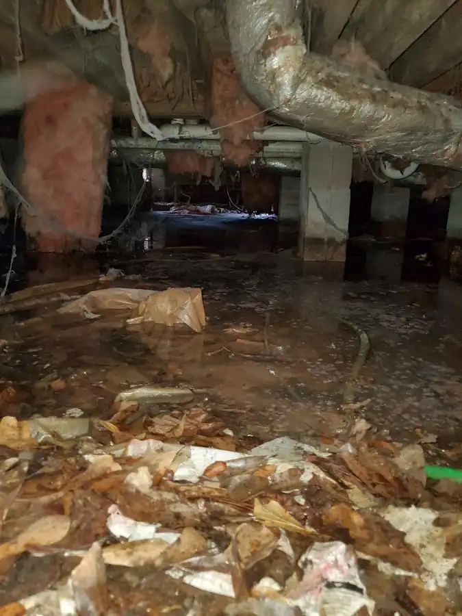 Crawl space flood assessment for Commercial Water Damage Restoration in Ira